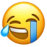 lolsob lolsob