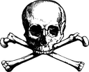 skull Discord emoji