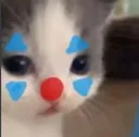 gatinhopalhaco
