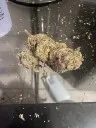 weed