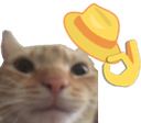 Gatiwi_tuki Discord emoji