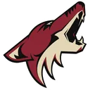 coyotes
