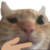 Gatiwi_dudoso Discord emoji