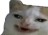 cringosmile