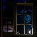 HamCreep