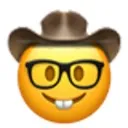 nerdcowboy