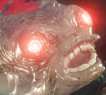 CarpWoke Discord emoji