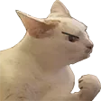 bulsUuuSyuka