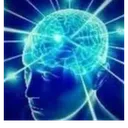 bigbrain