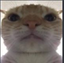 unknown Discord emoji