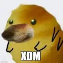 xdm xdm
