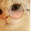 gg_smart_billi gg_smart_billi