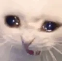 cry_phibi