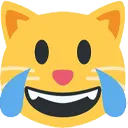 joi_cat