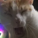 gglaugh gglaugh