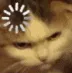 loadingCat