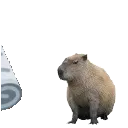 badcapybara