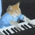 pianocat
