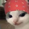 axlcat
