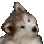 wnim_dog_FSoftware