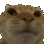catno