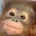 monke