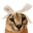 PimpCat