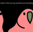 pigeonrainbow