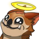 ChapaaAngel ChapaaAngel