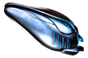 BluePotato BluePotato