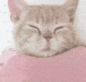 ch_slumber Discord emoji