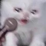 ch_scaredfuck