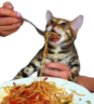 ch_spaghetti1 Discord emoji