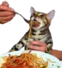 ch_spaghetti1