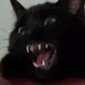 ch_angry ch_angry