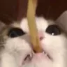 ch_munching
