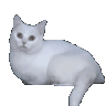 ch_run Discord emoji