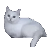 ch_run ch_run