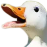 duckpog