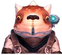 CodeGek