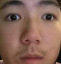 PangCamPov PangCamPov