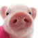 :cutepiggy: