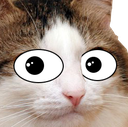 catStare Discord emoji