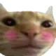 heheblush