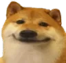 Dogsmile