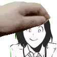 nomurapet