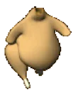 chickenstrut
