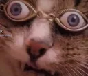 cateyes