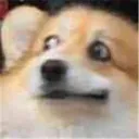 871761678583332894