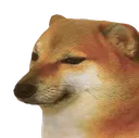 DogeBruh DogeBruh